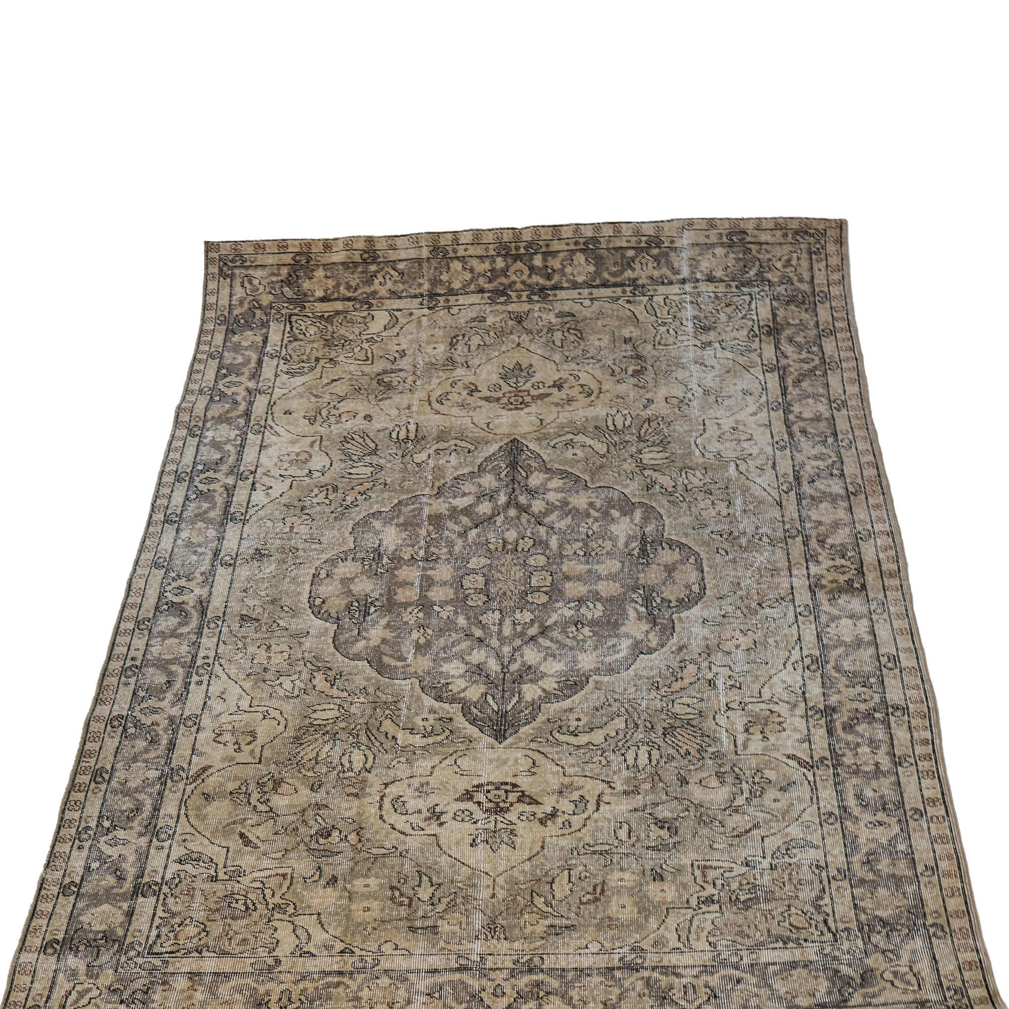 Aslan Rug 6'2" x 10'3"